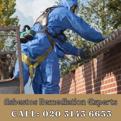 Asbestos Remediation Experts Ashtead